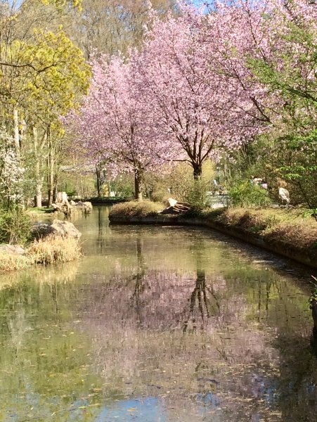 Craniosacral Therapie - Leben im Fluss